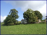 wp97d25c11.jpg