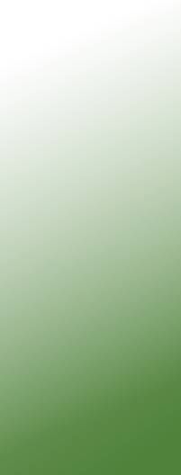 wpbdc0cf91.png
