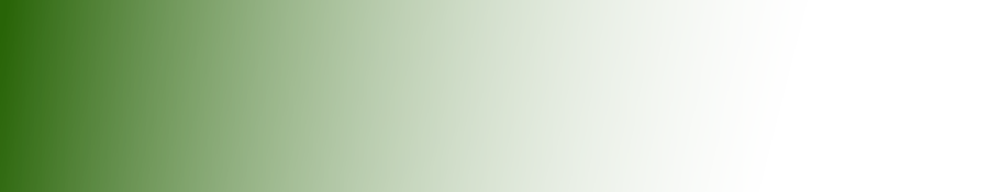 wpd5418418.png